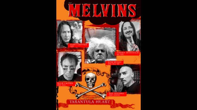 The Melvins Deliver 'Allergic To Food'