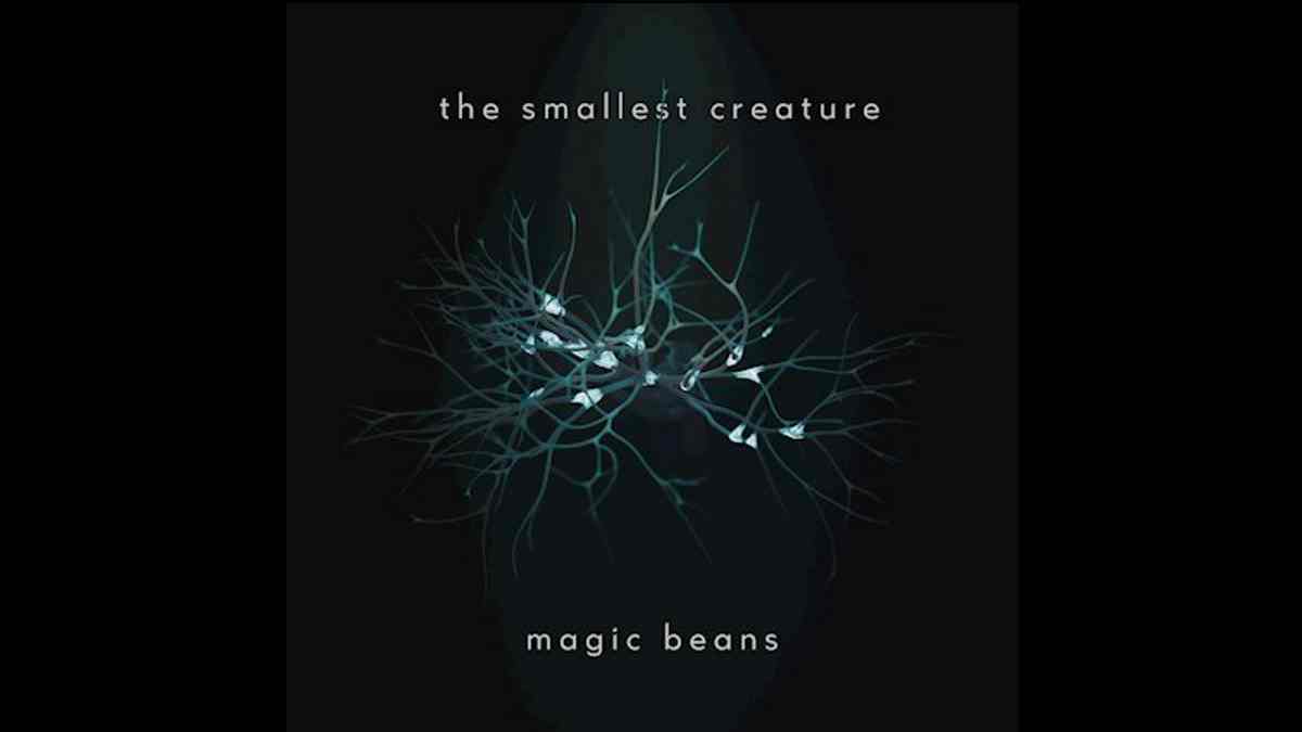 The smallest Creature - Magic Beans cover art