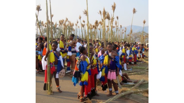 Umhlanga Reed Dance Ceremony